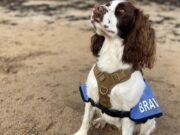 Dog Changed an Army Veteran’s Life Who Has 3 Years to Live the dog who changed an army veteran's life