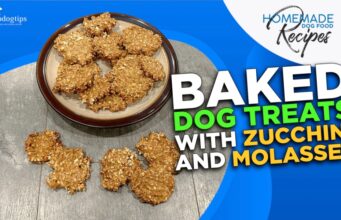 Recipe: Baked Dog Treats with Zucchini & Molasses Baked Dog Treats with Zucchini and Molasses