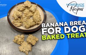 Recipe: Banana Bread for Dogs Baked Treats Banana Bread for Dogs Baked Treats