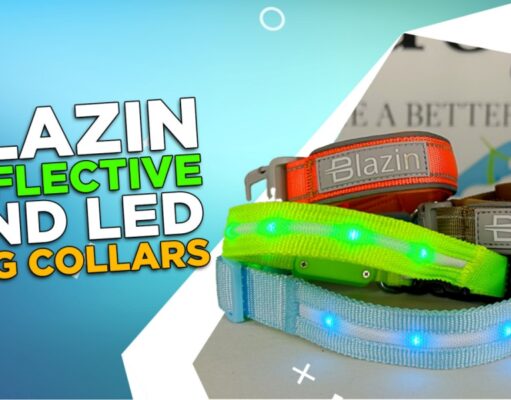 Review: Blazin Reflective & LED Dog Collars Blazin Reflective and LED Dog Collars