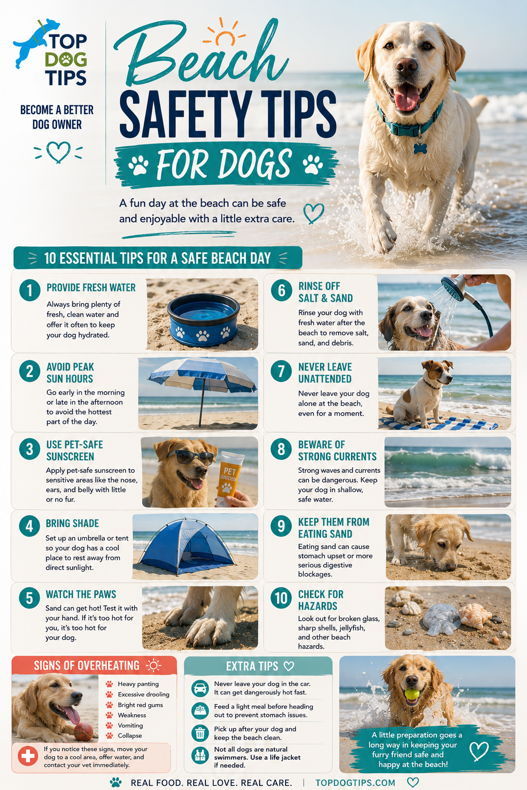 Beach Safety Tips for Dogs Infographic