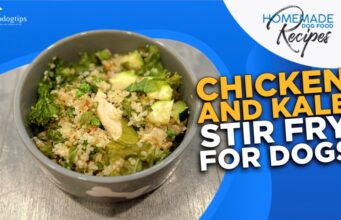 Recipe: Chicken and Kale Stir Fry for Dogs Chicken and Kale Stir Fry for Dogs