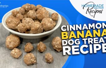 Cinnamon Banana Dog Treat Recipe