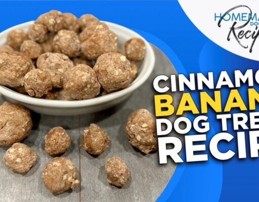 Cinnamon Banana Dog Treat Recipe