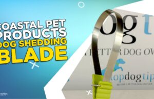 Review: Coastal Pet Products Dog Shedding Blade Coastal Pet Products Dog Shedding Blade