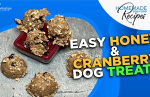 Recipe: Easy Honey & Cranberry Dog Treats Cranberry Dog Treats