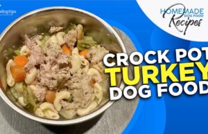 Crock Pot Turkey Dog Food Recipe Crock Pot Turkey Dog Food