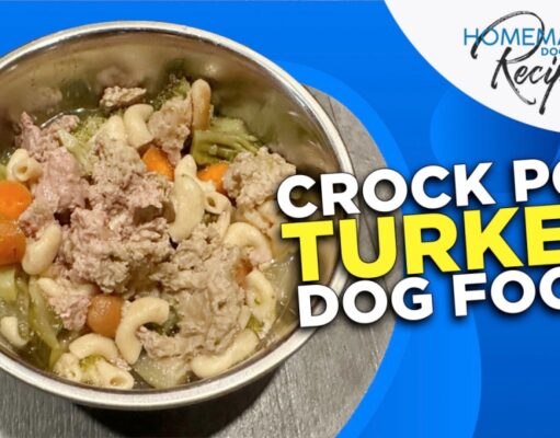 Crock Pot Turkey Dog Food Recipe Crock Pot Turkey Dog Food