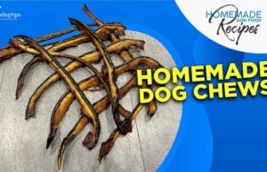 Recipe: Homemade DIY Dog Chews DIY Dog Chews