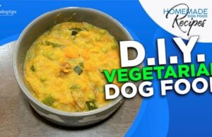 DIY Vegetarian Dog Food Recipe DIY Vegetarian Dog Food