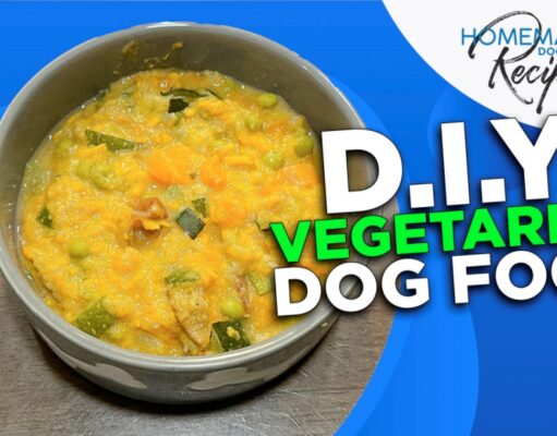 DIY Vegetarian Dog Food Recipe DIY Vegetarian Dog Food