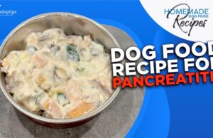 Dog Food Recipe for Pancreatitis Dog Food Recipe for Pancreatitis