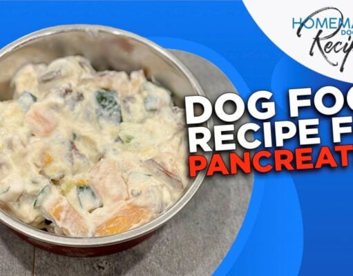 Dog Food Recipe for Pancreatitis Dog Food Recipe for Pancreatitis