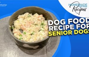 Dog Food Recipe for Senior Dogs Dog Food Recipe for Senior Dogs
