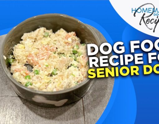 Dog Food Recipe for Senior Dogs Dog Food Recipe for Senior Dogs