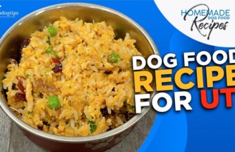 Recipe: Dog Food Recipe for UTI Homemade Dog Food Recipe for UTI