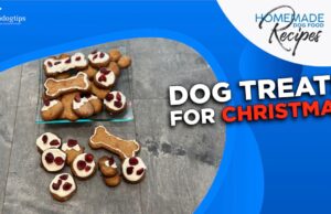 Recipe: Dog Treats for Christmas Dog Treats for Christmas