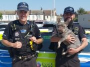 Stolen French Bulldog Reunited With Owner PC Harkness (Left), PC Raven (right) from the Rural Engagement Team found missing dog Pearl Image By: ESSEX POLICE