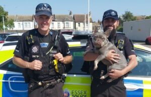 Stolen French Bulldog Reunited With Owner PC Harkness (Left), PC Raven (right) from the Rural Engagement Team found missing dog Pearl Image By: ESSEX POLICE