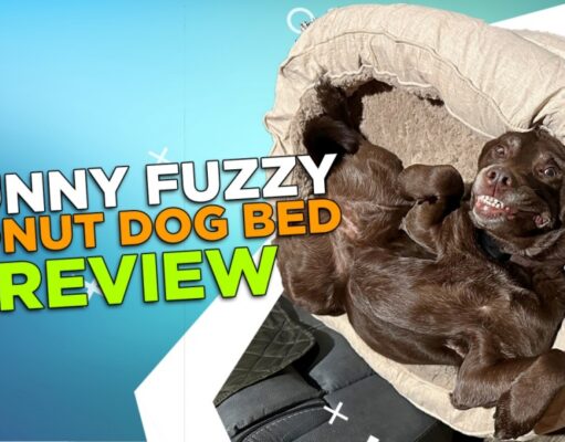 Review: Funny Fuzzy Donut Dog Bed Funny Fuzzy Donut Dog Bed Review