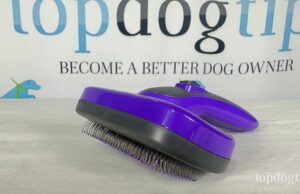 Giveaway: Hertzko Slicker Brush for Dogs and Cats Hertzko Slicker Brush Giveaway
