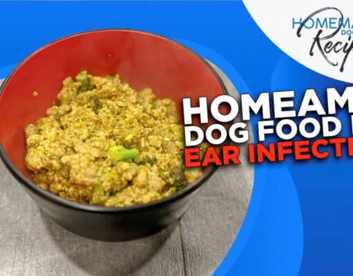 Recipe: Homemade Dog Food for Ear Infections Homemade Dog Food for Ear Infections
