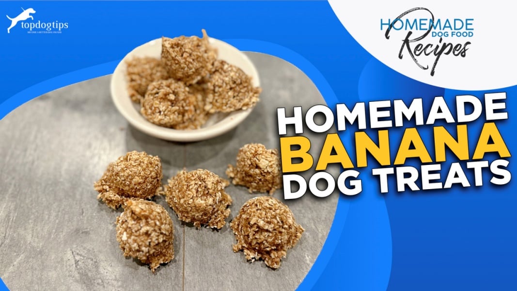 Best Homemade Banana Dog Biscuits Reference: Recipe Homemade Banana Dog Treats