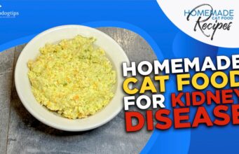 Recipe: Homemade Cat Food for Kidney Disease Homemade Cat Food for Kidney Disease