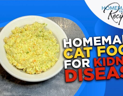 Recipe: Homemade Cat Food for Kidney Disease Homemade Cat Food for Kidney Disease