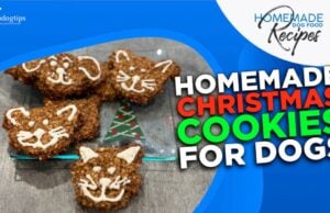 Recipe: Homemade Christmas Cookies for Dogs Homemade Christmas Cookies for Dogs (1)