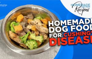 Recipe: Homemade Dog Food for Cushing’s Disease