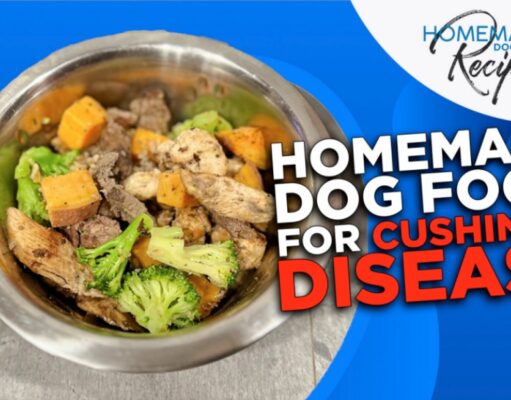 Recipe: Homemade Dog Food for Cushing’s Disease