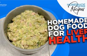 Recipe: Homemade Dog Food for Liver Health Homemade Dog Food for Liver Health