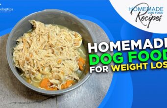 Recipe: Homemade Dog Food for Weight Loss Homemade Dog Food for Weight Loss