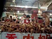 China’s Yulin Dog Meat Festival Sparks Controversy, Witness Says Pups Are Burned Alive Killing and selling of dog meat at the Yulin dog meat festival in China