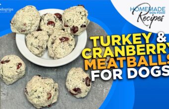 Recipe: Turkey & Cranberry Meatballs for Dogs Meatballs for Dogs Recipe
