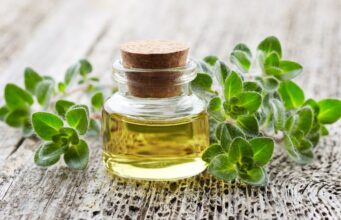 Oregano Oil for Dogs: Benefits and Guidance Oregano Oil For Dogs Featured Image