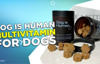 Review: Dog Is Human Multivitamin for Dogs Review Dog Is Human Multivitamin for Dogs