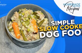 Recipe: Simple Slow Cooker Dog Food Recipe Simple Slow Cooker Dog Food