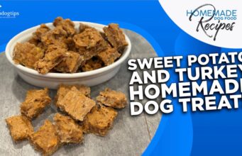 Recipe: Sweet Potato & Turkey Dog Treats Sweet Potato and Turkey Dog Treats