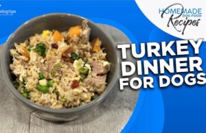 Recipe: Turkey Dinner for Dogs Turkey Dinner for Dogs