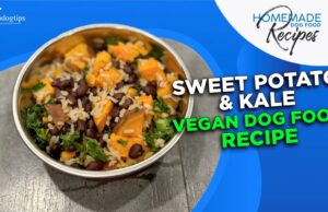 Sweet Potato & Kale Vegan Dog Food Recipe Vegan Dog Food Recipe