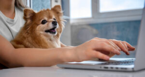 15 Velcro Dog Breeds and 4 Simple Tips to Lessen Their Clinginess