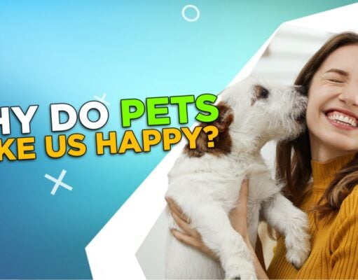 Why Do Pets Make Us Happy? Why Do Pets Make Us Happy?