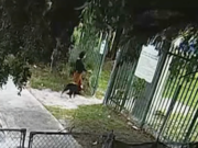 Woman Seen Abandoning Dog in Miami Park turned out to be Good Samaritan Woman seen abandoning dog turns out to be good samaritan| Screenshot from NBC News