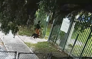 Woman Seen Abandoning Dog in Miami Park turned out to be Good Samaritan Woman seen abandoning dog turns out to be good samaritan| Screenshot from NBC News