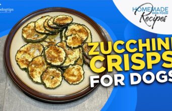 Recipe: Zucchini Crisps for Dogs Zucchini Crisps for Dogs