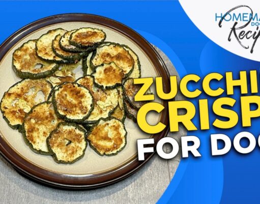 Recipe: Zucchini Crisps for Dogs Zucchini Crisps for Dogs
