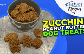 Recipe: Peanut Butter Zucchini Dog Treats Zucchini Peanut Butter Dog Treats