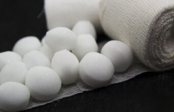 Are Mothballs Toxic to Dogs? Symptoms and Treatments are mothballs safe for dogs